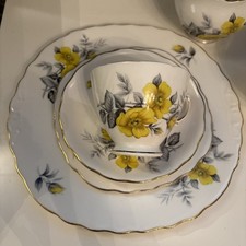 Vintage Royal Vale Bone China