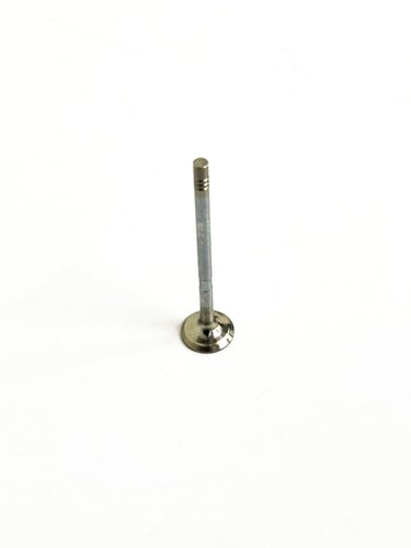 Exhaust valve for - for, peugeot