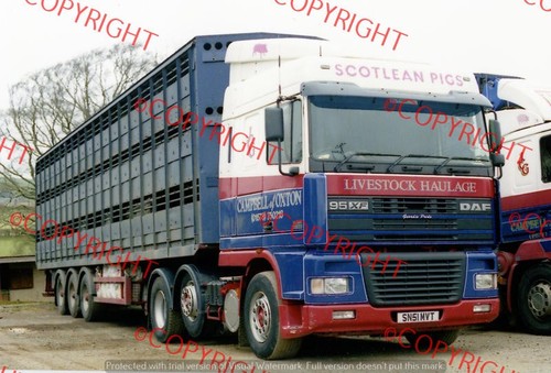 Truck lorry photo - -, campbell