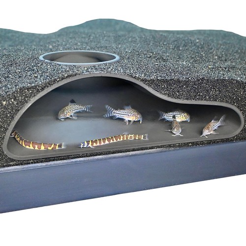 Aquarium underground tunnel - aquarium,