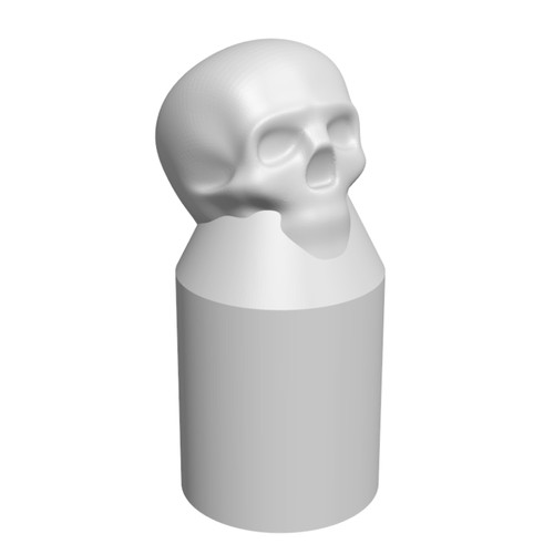 Skull radiator lock shield - x,