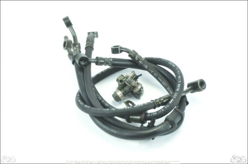 Front and rear brake - , hoses