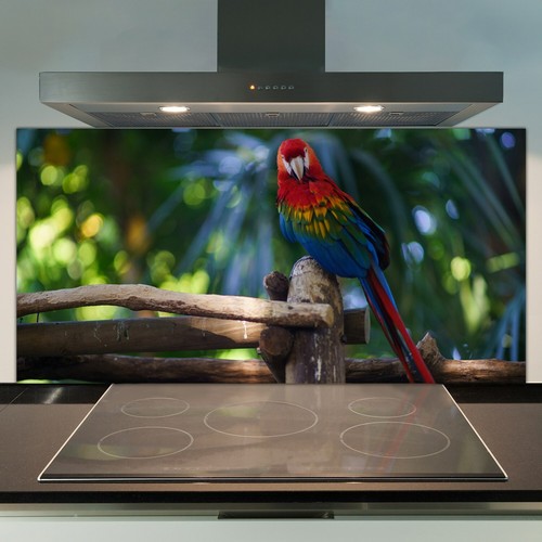 Glass kitchen splashback tile - splashback,