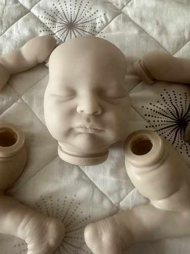 Reborn kit inches - kit, 20