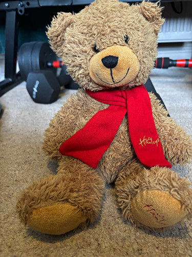 Hamleys brown plush teddy - hamleys,