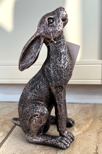 Moon gazing hare - gazing, garden