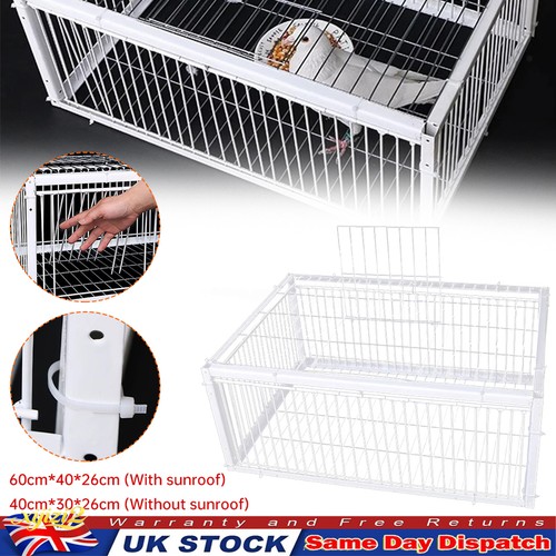 Pigeon trap cage single way - pigeon,