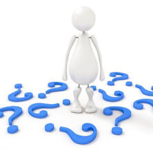 Tibetan Orchid Alba - Pleione formosana