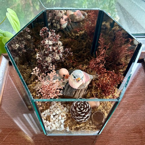 Vintage terrarium with - vintage,