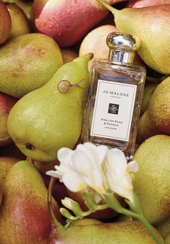 Malone london english pear - english,