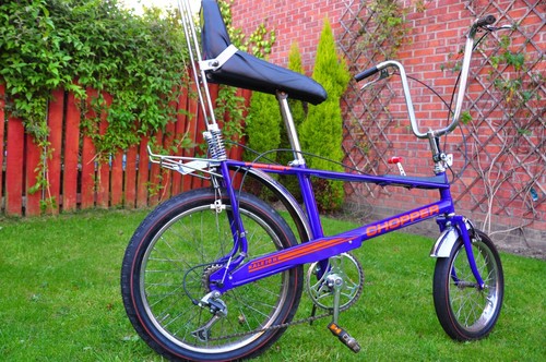 Vintage 1974 purple raleigh - vintage,