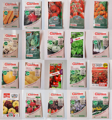 Seeds fresh herbs - fresh, vegetable
