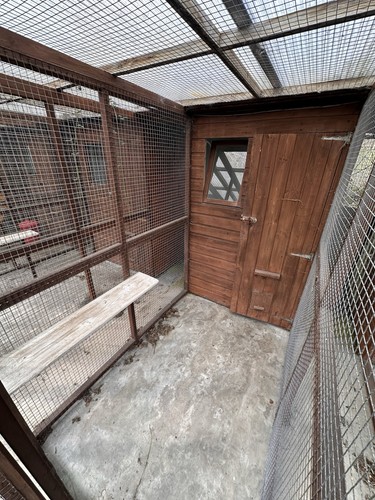 Timber cattery cat pens with - timber,