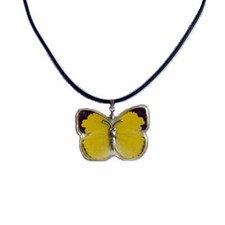 Real Insect Butterfly Wings Necklace Pendant Lucky Charm Jewellery