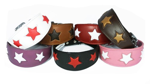 Dog collar leather whippet - dog,