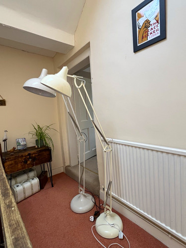Oversized anglepoise floor - oversized,
