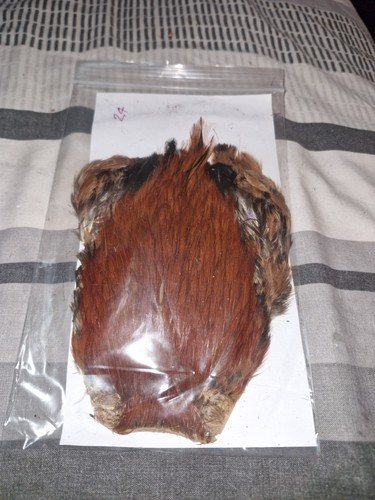 Cock cape fly tying - cape,fly,