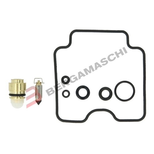 Carburetor overhaul kit - overhaul,