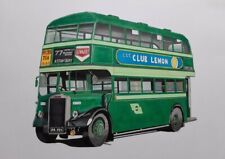 Irish CIE Dublin Bus Eireann Leyland Titan OPD 2 Vintage - Illustration Drawing