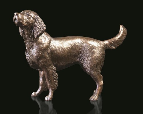 Springer spaniel bronze - springer,