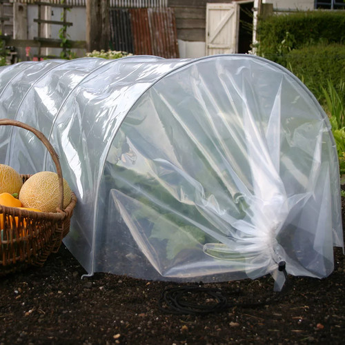 Poly garden cloche tunnel - cloche,