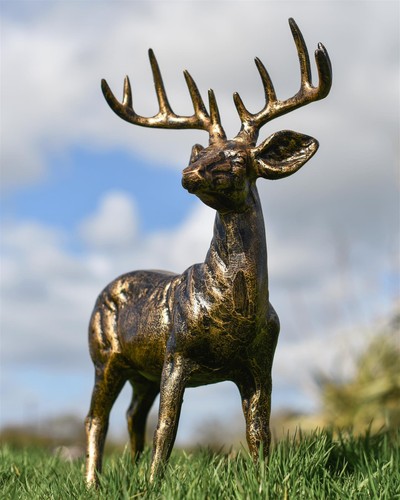 Brushed gold winston stag - gold, 'winston'