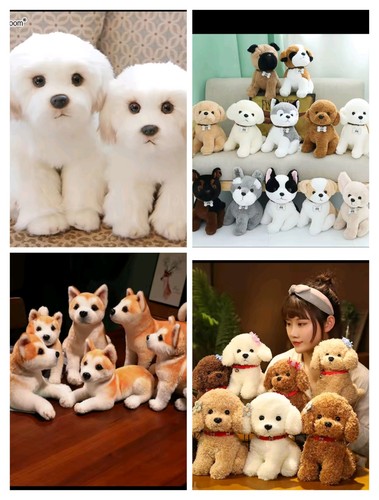 Soft simulation akita - akita, dog