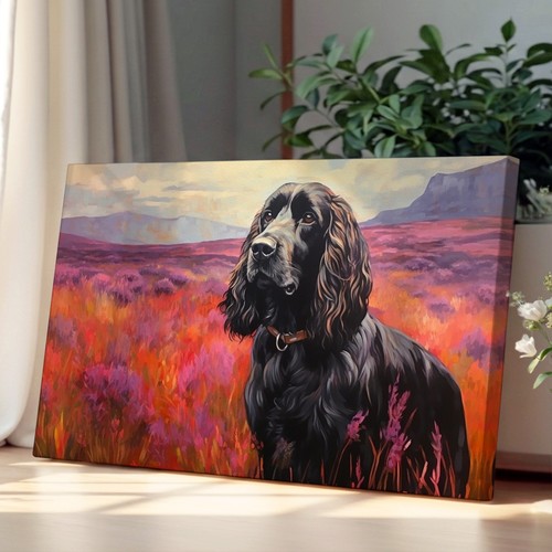 Cocker spaniel colour - cocker,