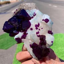 417G Purple Potassium alum Octahedral Crystal Calcite Crystal