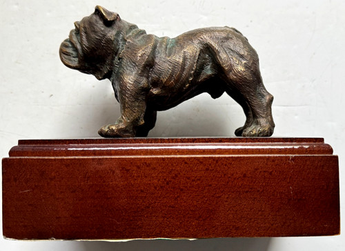 Bulldog high - bulldog,