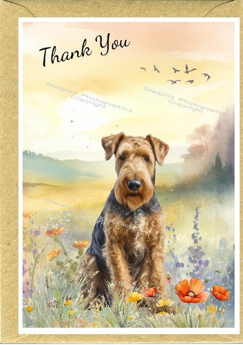 Airedale terrier dog - airedale,