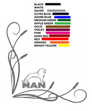 MAN truck window decals x 2
