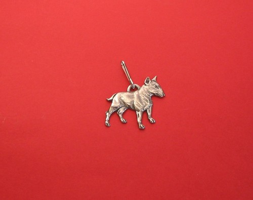 English bull terrier pewter - english,