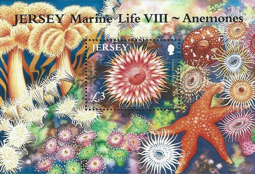2010 jersey ms1531 marine - ms1531,