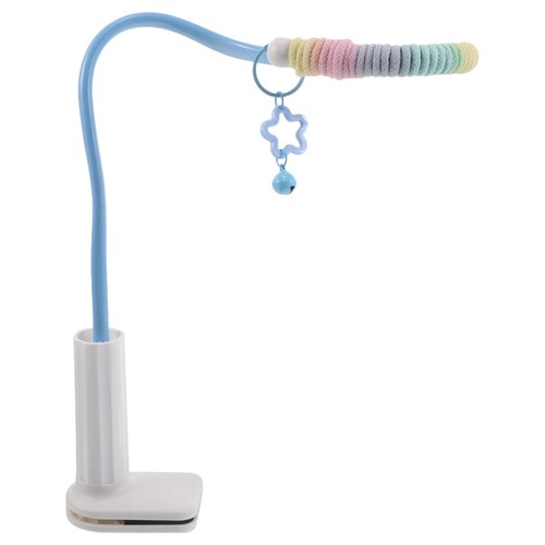 Tabletop parrot play - parrot,