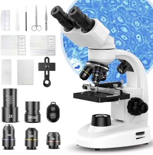 Binocular compound microscope - compound,