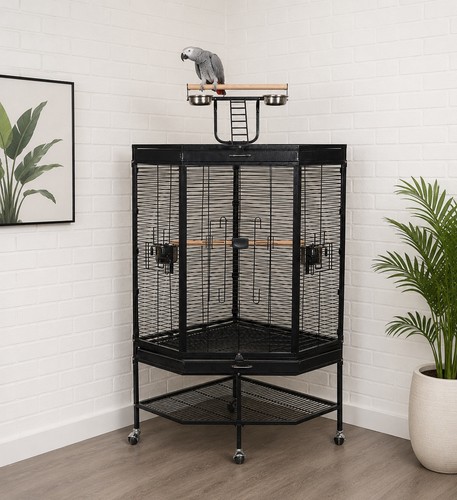 Alaska corner parrot - alaska, cage