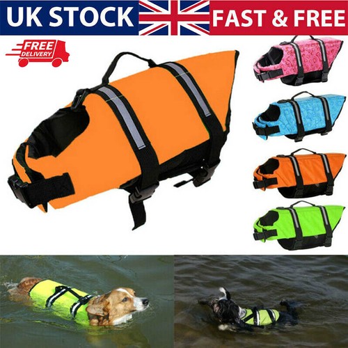 Dog life jacket - jacket, safety