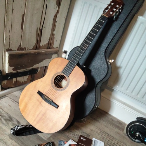 Taylor nylon string thin - nylon,