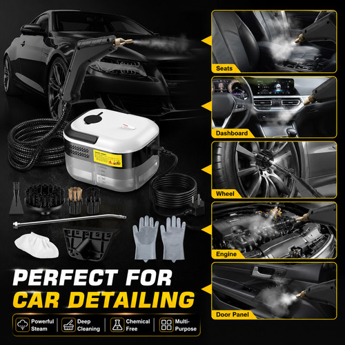 High pressure steam cleaner - pressure,