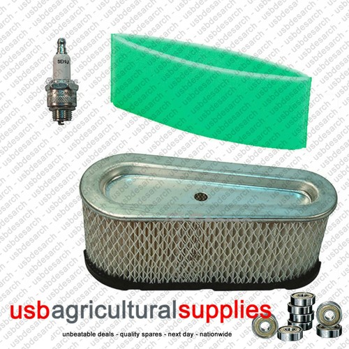 Briggs stratton air - &,