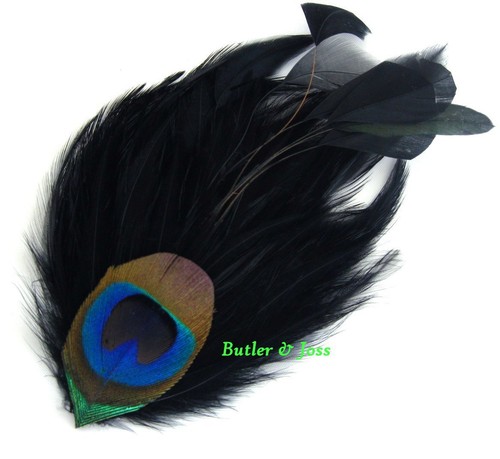 Black peacock feather - peacock,