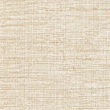 Caravan Wallboard Union Osaka