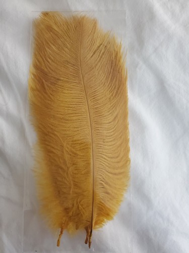 Lot dyed 8 ostrich - dyed,