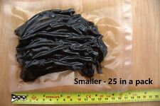 Small Preserved Lugworm Sea Fishing Bait (~25 in a pack)(Salted and Oiled)