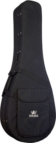 String banjo case - 5, foam