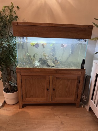 Aqua oak solid - aqua,