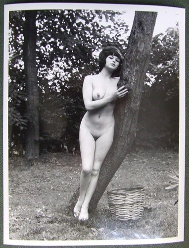 Vivienne warren original - warren:,