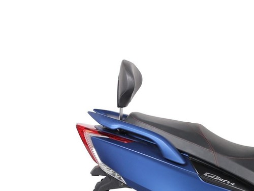 Shad backrest pad silver and - backrest,