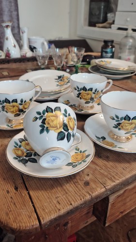 Gladstone china yellow - gladstone, rose